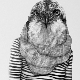 Pencil drawing of an osprey posed as a person